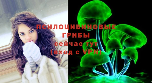 хмурый Алексеевка