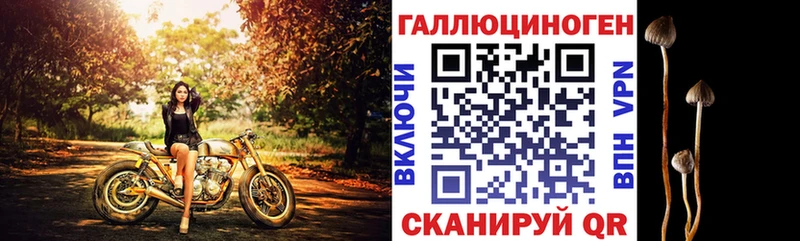 Галлюциногенные грибы мухоморы  Сыктывкар 